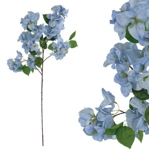 Bougainvillea 00-10029-7