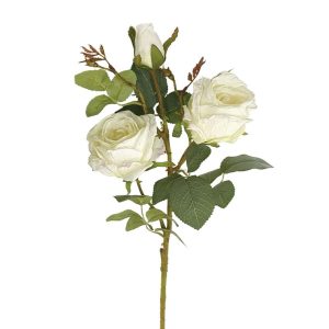 Rose Branch 00-10173-1/2/3/4