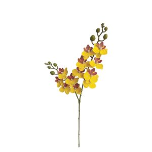 Orchid 00-11532-1/2/3/4