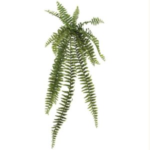 Fern pick 00-21020
