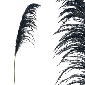 Dried Branch Pampas 00-50011-4