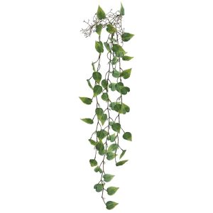 Hanging Root 00-70031-1