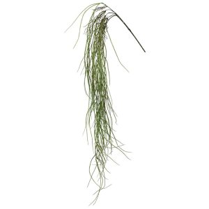 Hanging Root 00-70032-2