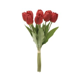 Red Tulips 00-99935-1