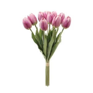 Lila Tulips 00-99935-2
