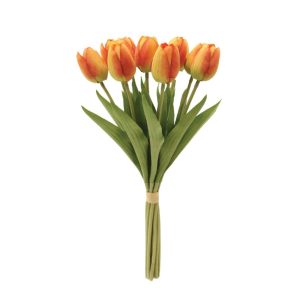 Orange Tulips 00-99935-3