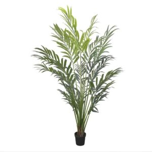 Palm Tree 04-10004