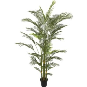 Palm Tree 04-10005