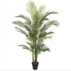 Palm Tree 04-10006