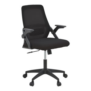 Office chair (069-000092/3)