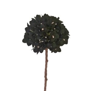 Black flower 10205