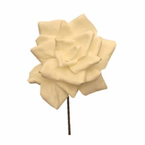 White flower 10622