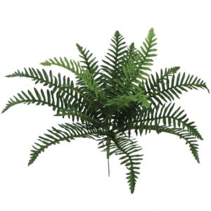 Hanging root fern 00-70038 (2204)