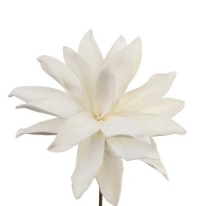 White flower 6071