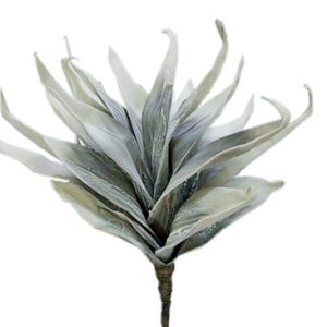 Grey-white flower 7437