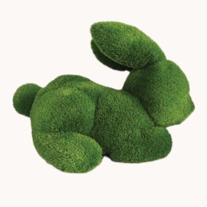 Rabbit GG010-100