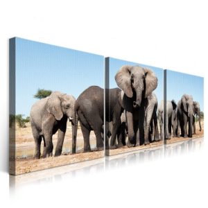 Canvas painting SD-E021