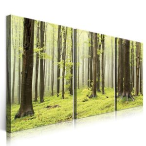 Canvas painting SH-71721ABC